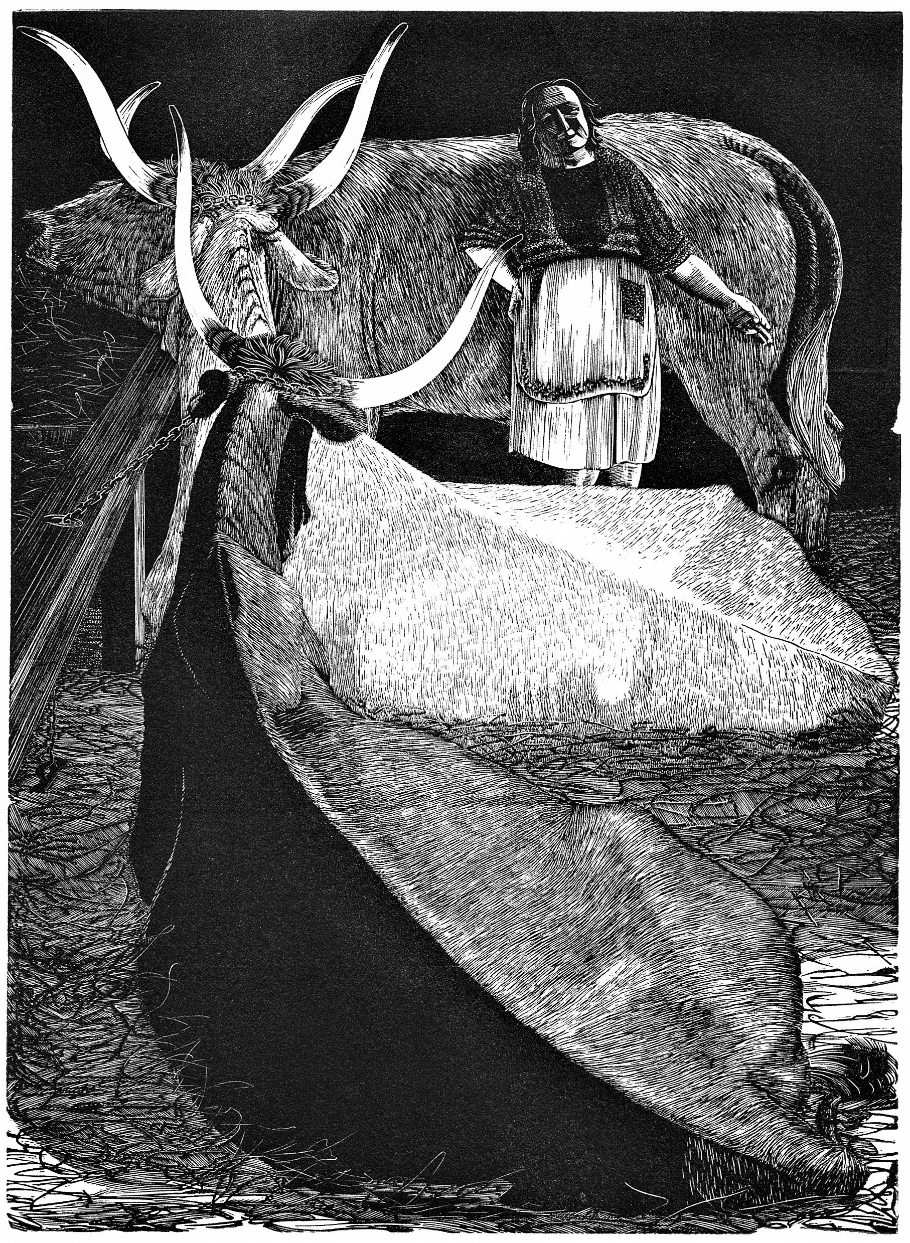 Signora Fernando - Sarah van Niekerk