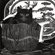 Still Life with Cat - Sarah van Niekerk