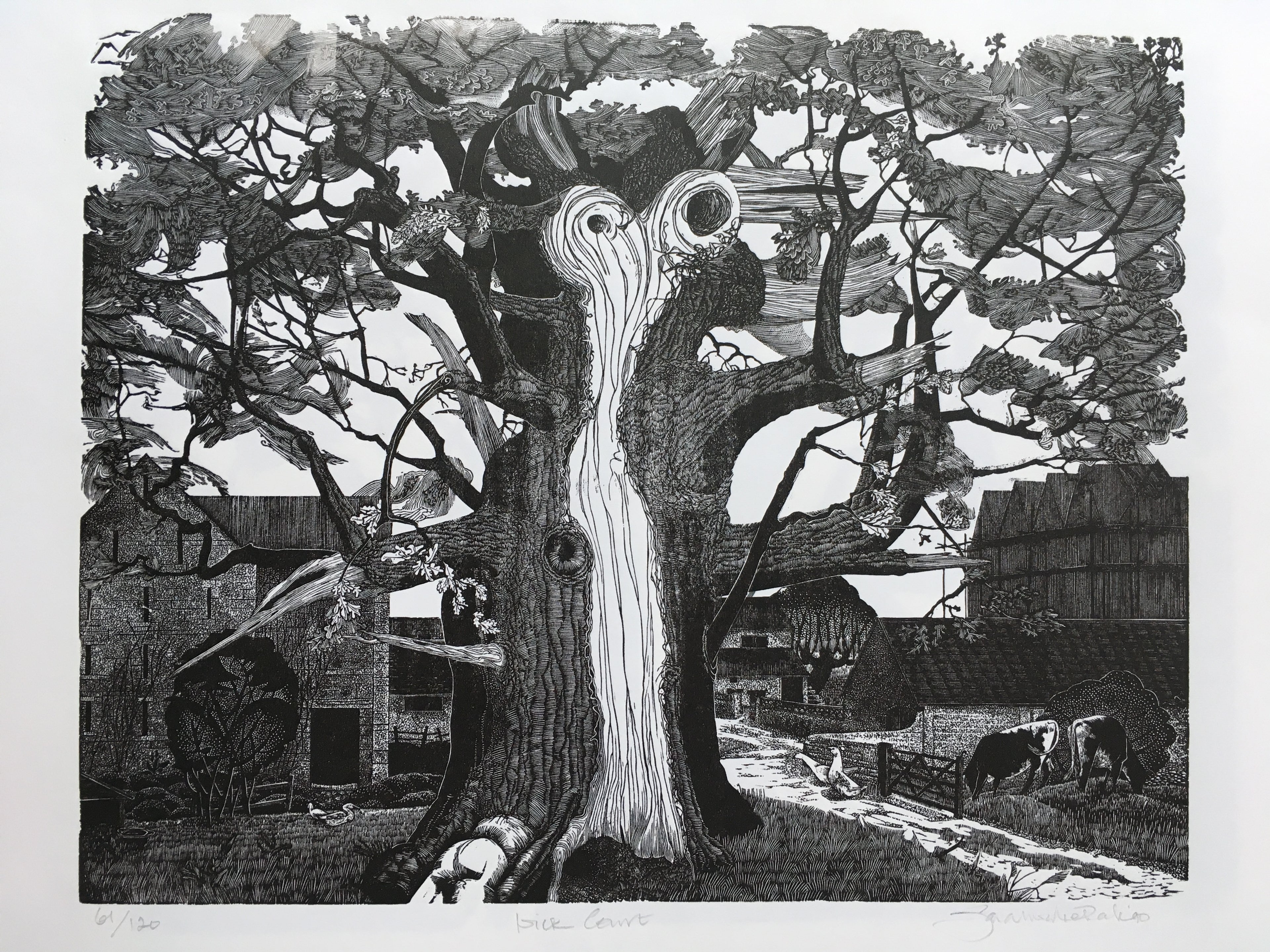 Wick Court - Sarah van Niekerk