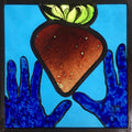 The Strawberry Thief - Steve Clare