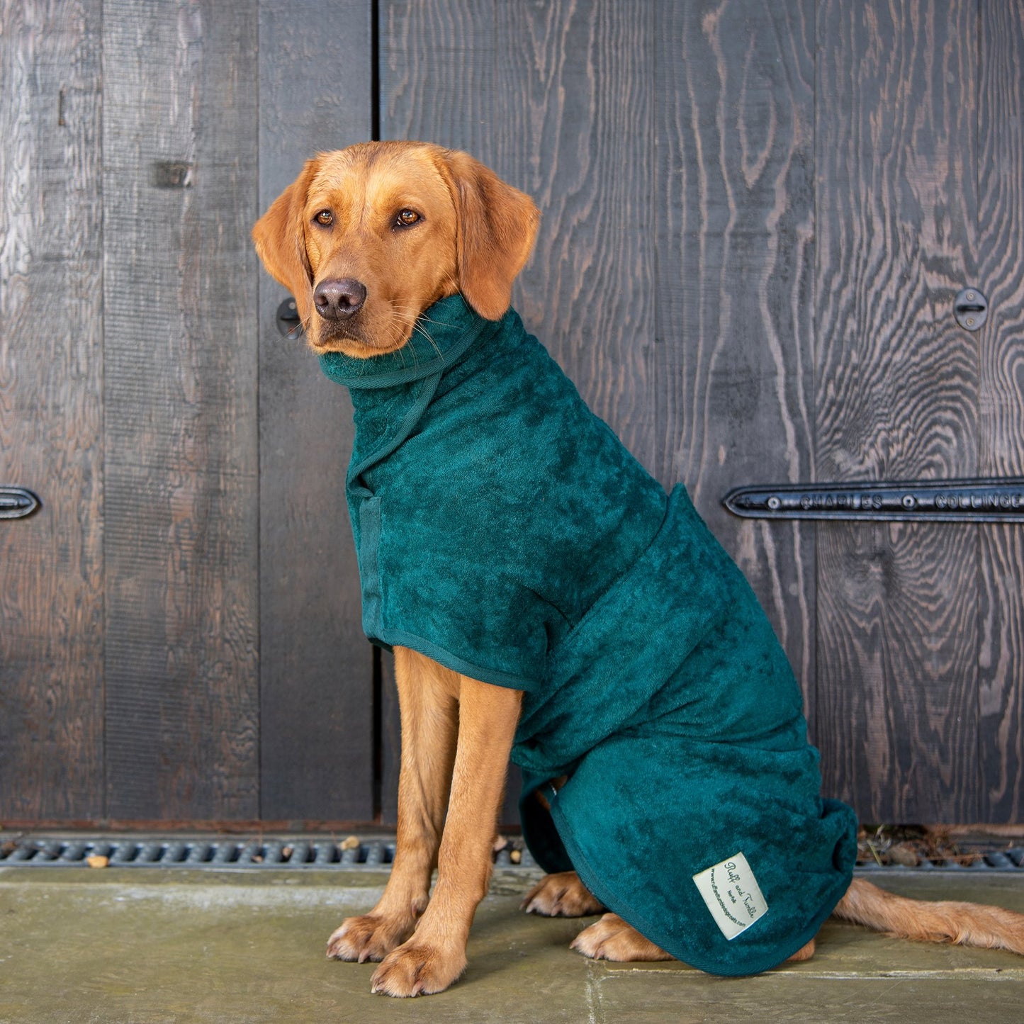 Dog Drying Coat Green Small
