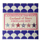 Origami Kit Stars