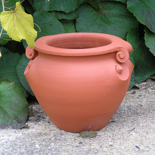 Scroll Pot 12 inches