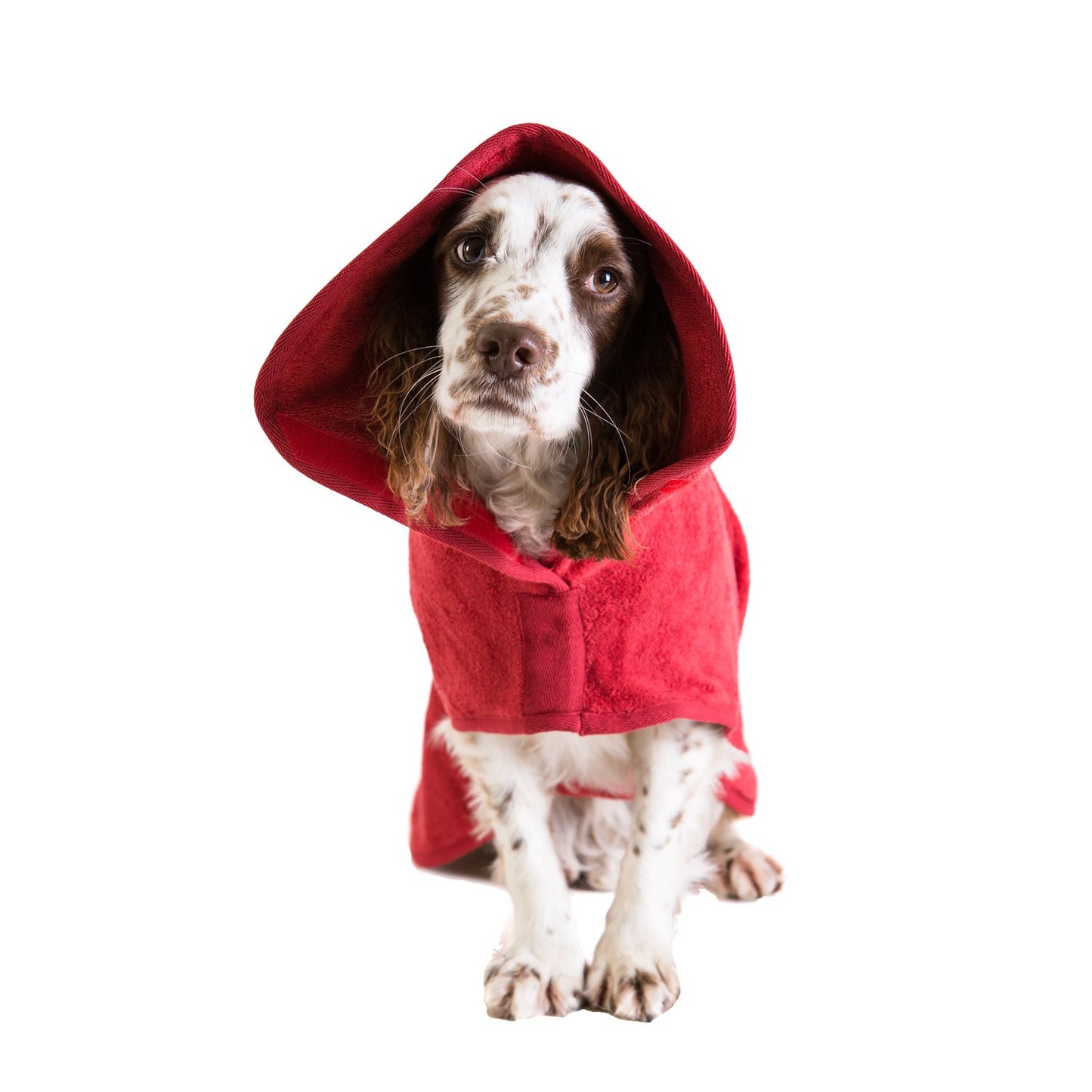 Dog Drying Coat Red XS