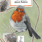 Ten Poems about Robins