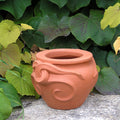 Snake Pot 12 inches